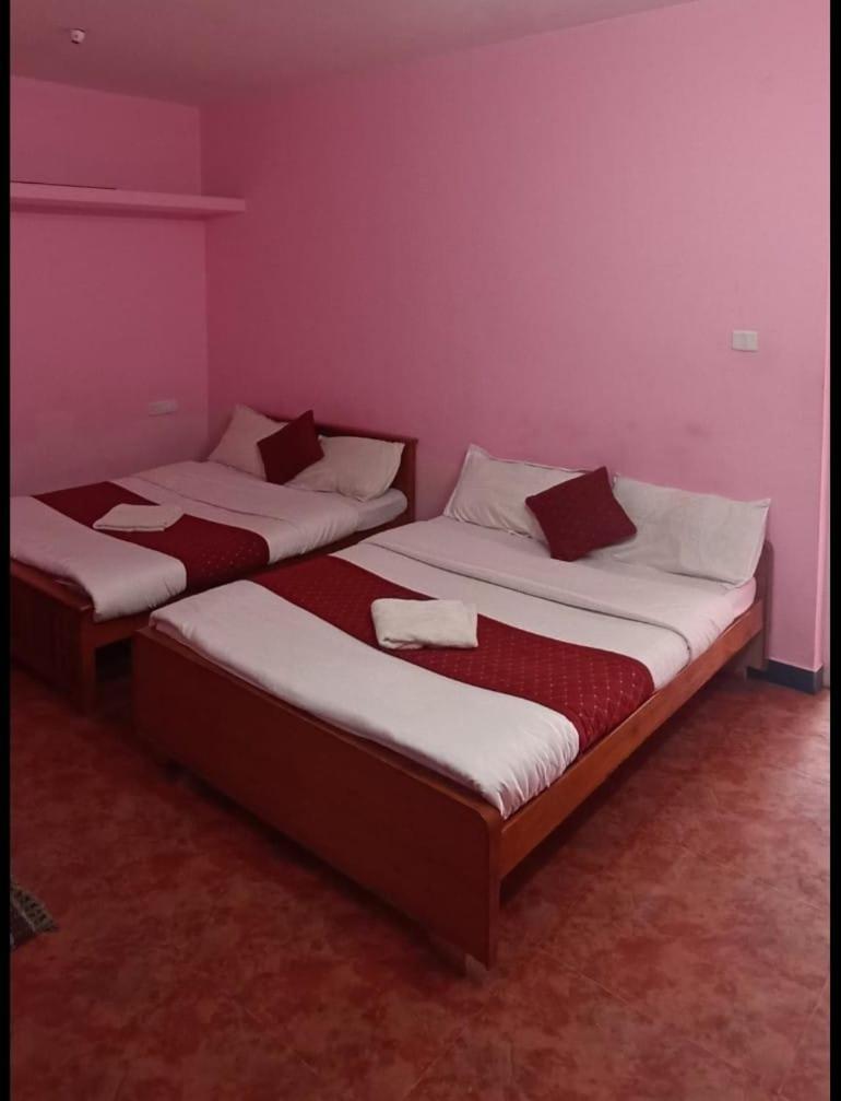 Homestay Osprey Individual